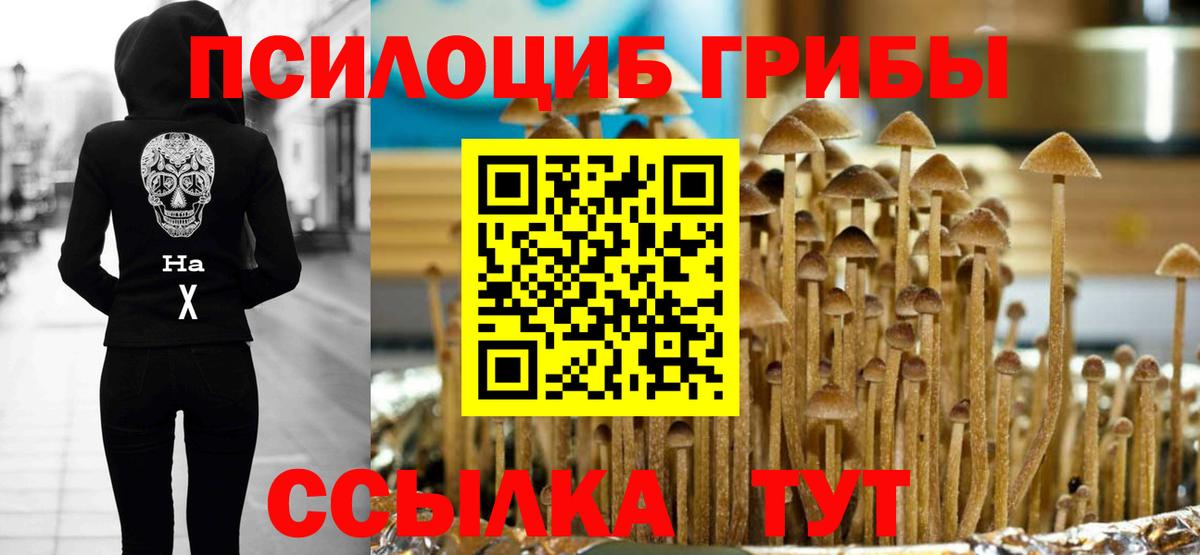 Галлюциногенные грибы GOLDEN TEACHER Оренбург