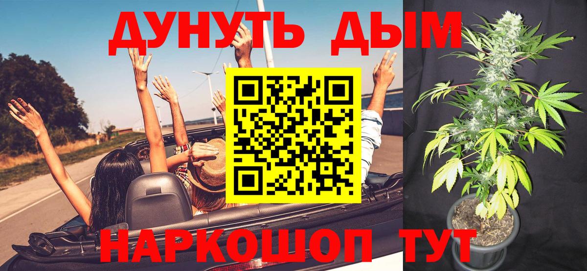 Шишки марихуана планчик  Вход с VPN  Шишки марихуана планчик  Шишки марихуана MAZAR  Оренбург 
